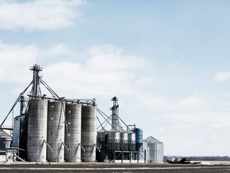 Biomass Cogeneration Plants Co-firing